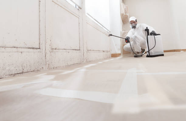24/7 Emergency Mold Cleanup experts in Manchester, VA
