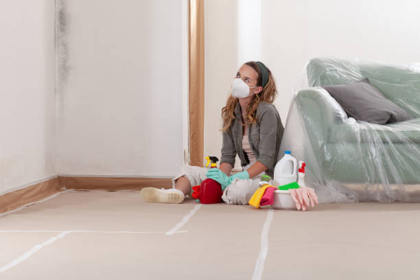 Reliable Mold Cleanup contractor in Manchester, VA by Cheap Mold Removal