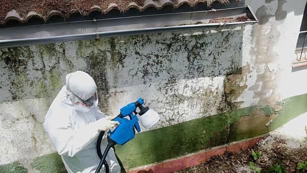 Top rated local Mold Cleanup specialists in Manchester, VA